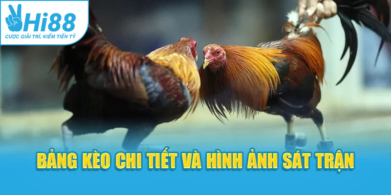 Bảng kèo chi tiết và hình ảnh sát trận