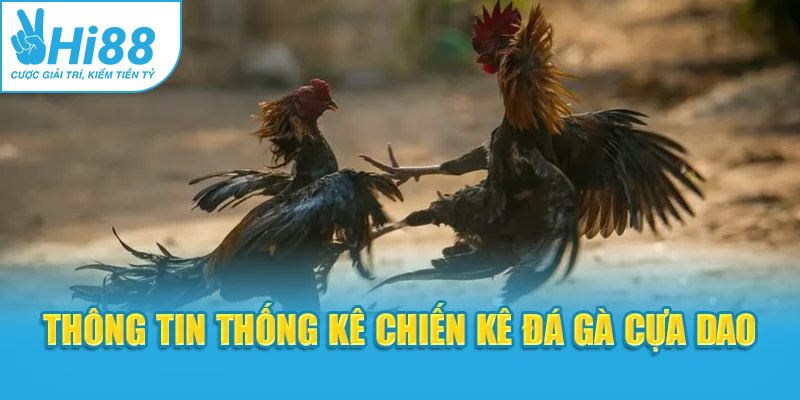 Thông tin thống kê chiến kê đá gà cựa dao