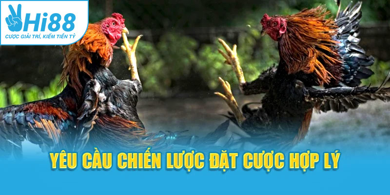 Yêu cầu chiến lược đặt cược hợp lý